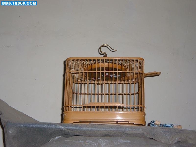 照片 240.jpg