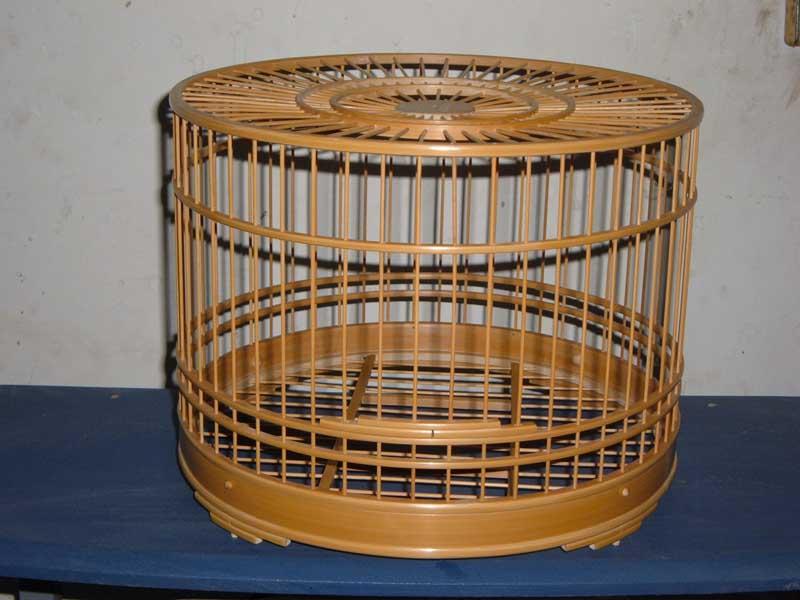 照片 150.jpg