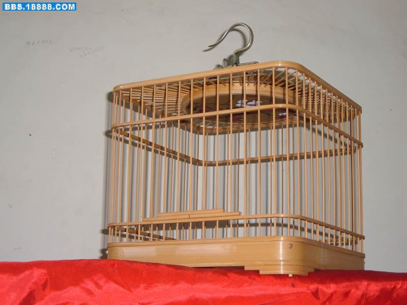 照片 334.jpg