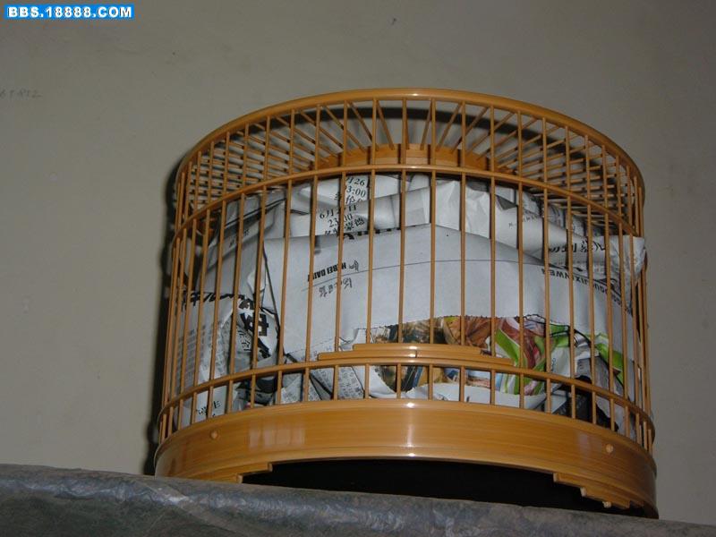照片 271.jpg