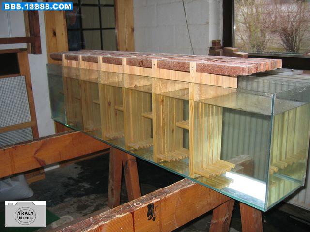IMG_5177%20[640x480].jpg
