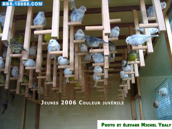 JEUNES%202006%20COULEUR%20JUVENILE%20[640x480].jpg