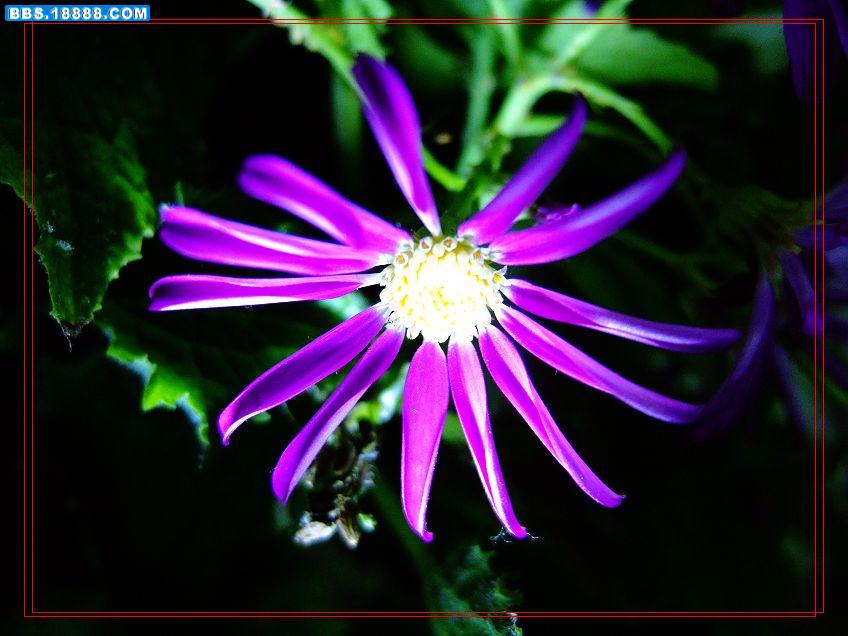 DSCF0669.JPG