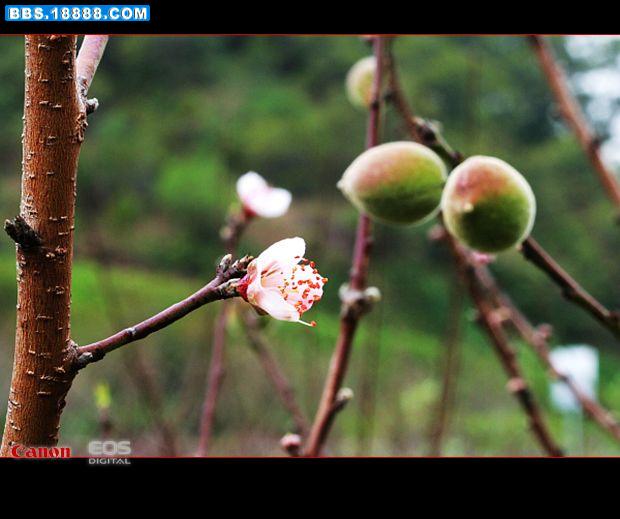 {095AF283-B7AE-400D-A002-ACCEDF7EB730}.JPG