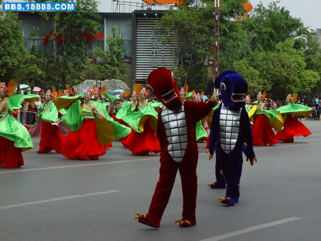 DSC08805.jpg