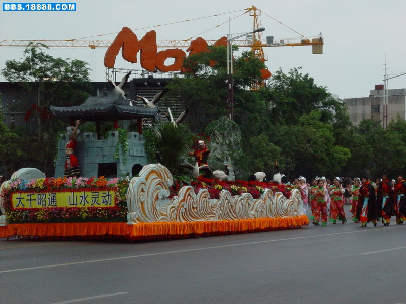 DSC08733.jpg