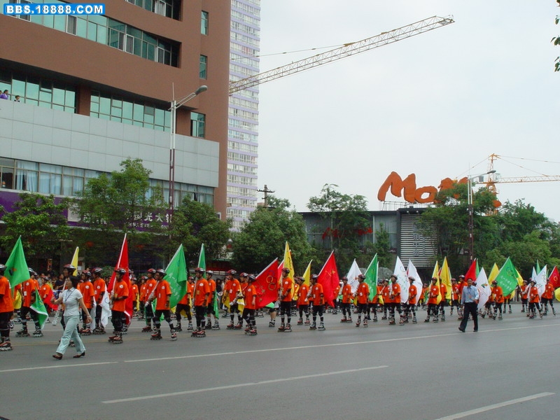 DSC08694.jpg