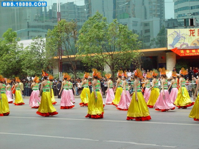 DSC08807.jpg