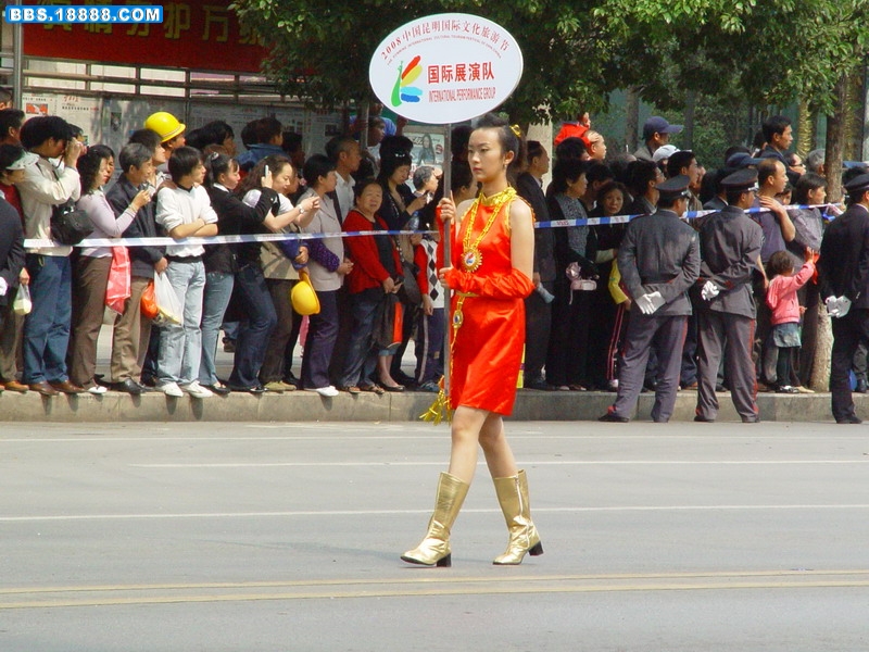 DSC08749.jpg