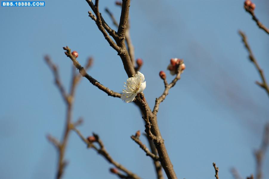 DSC_0060.JPG