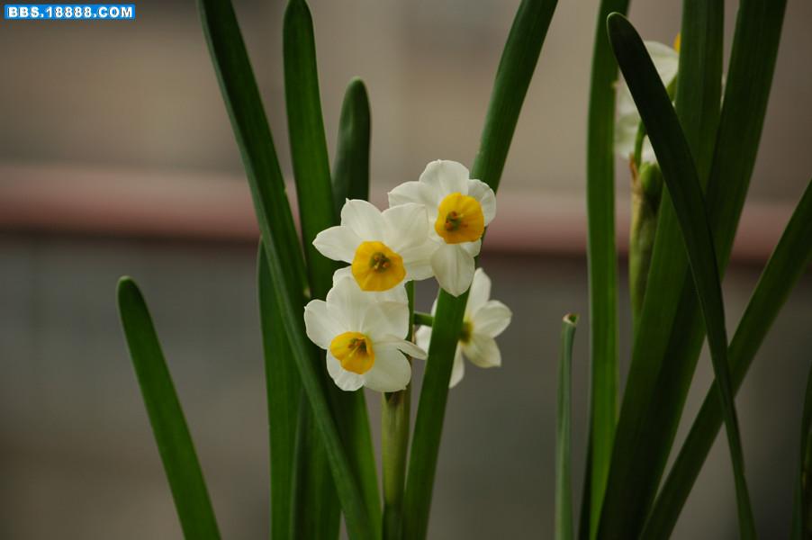 DSC_0015.JPG