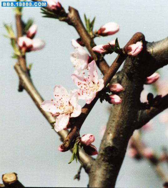 Image28.jpg