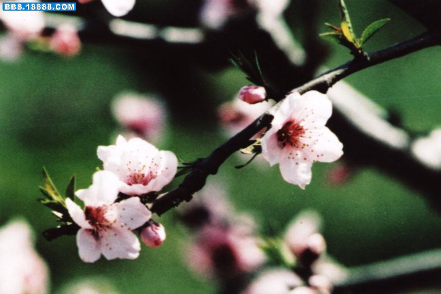 Image29.jpg