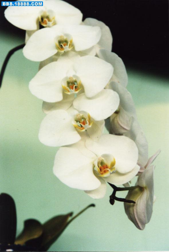 Image15.jpg