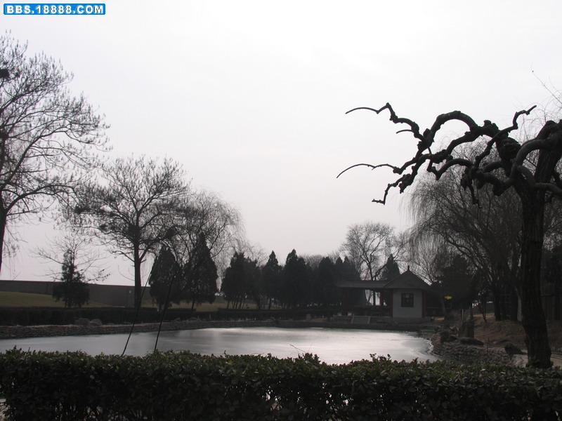 照片 032.jpg