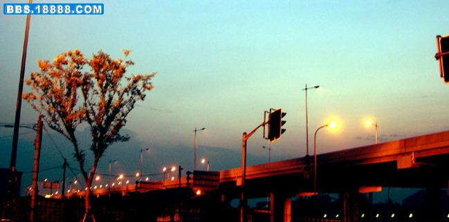 200505040206035179.jpg