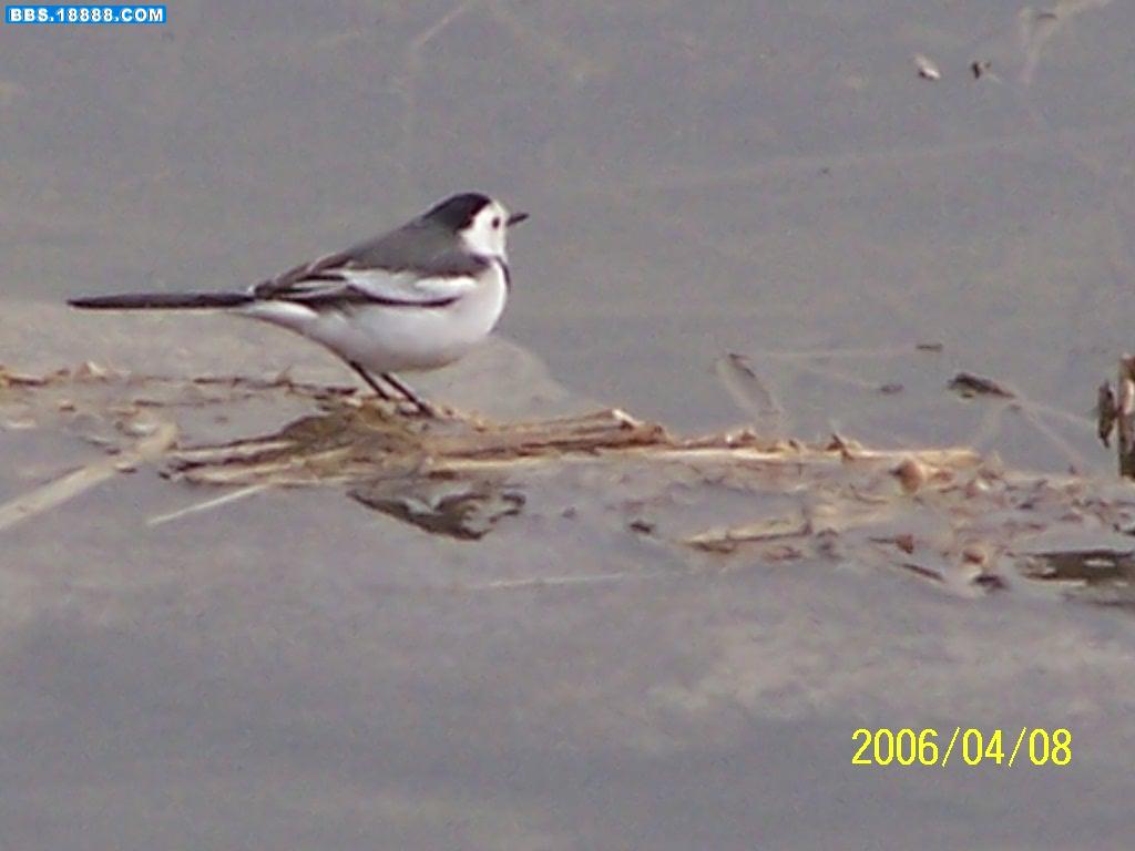 100_1117.jpg