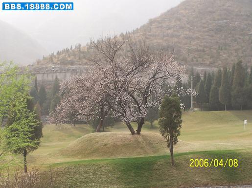 100_1092.jpg