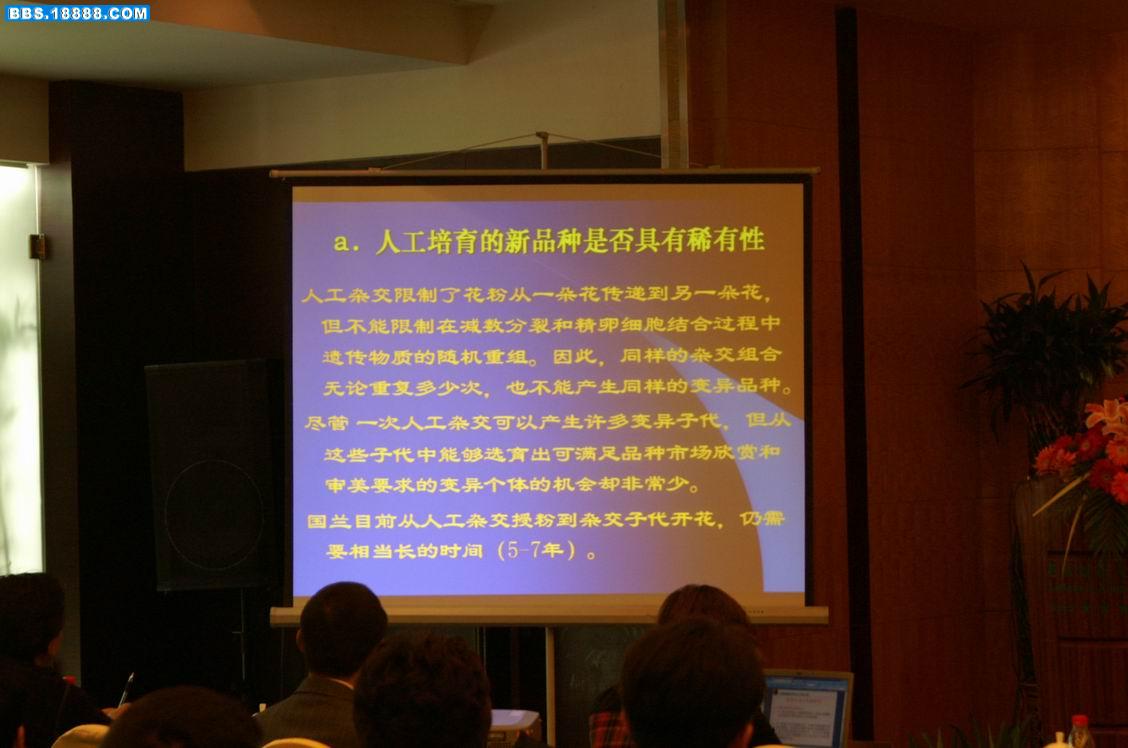 罗一波作学术报告5.JPG