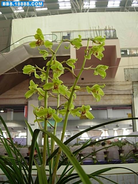 DSCN7975.JPG