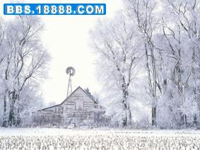 060116snow01.jpg