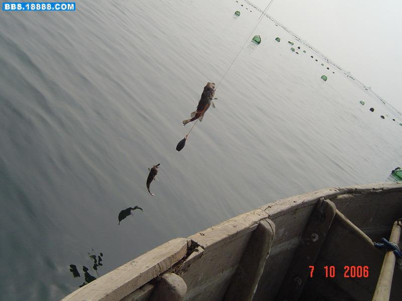 DSC05042-14.jpg