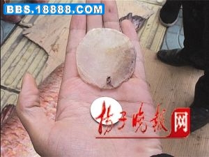 20080104082920284ca.jpg