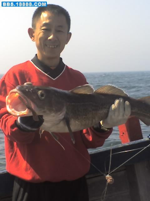 2007425194149155.jpg