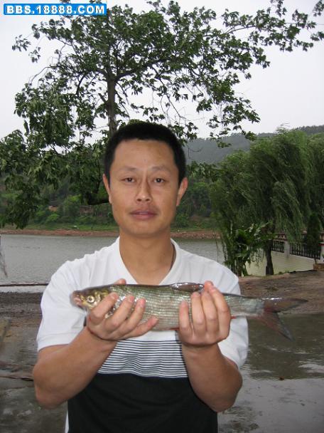 龙泉湖 008.jpg
