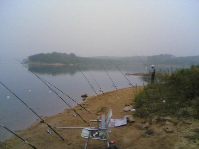 Image(1495).jpg