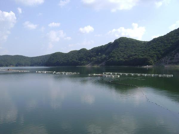 DSC00195.jpg