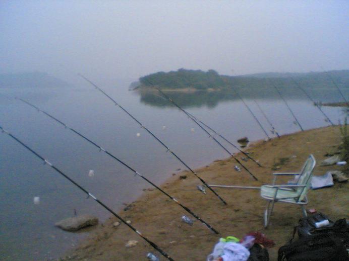 Image(1484).jpg