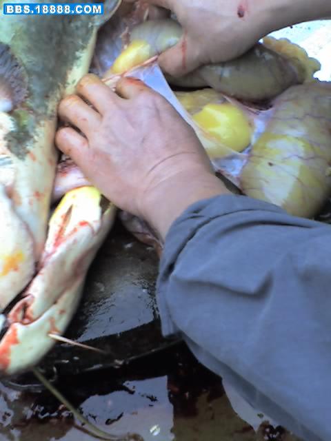 19-01-07_1111.jpg