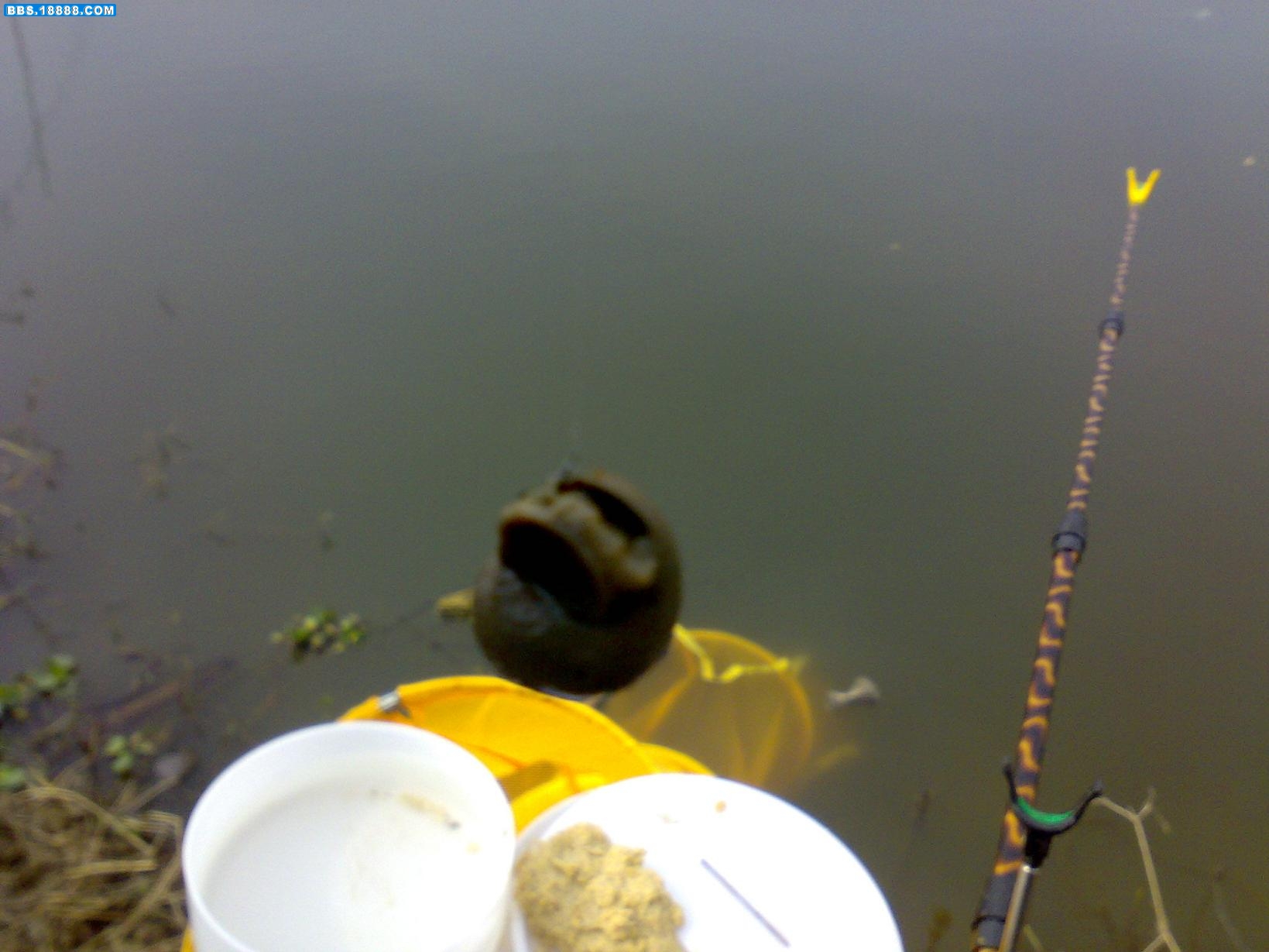 20071125350.jpg