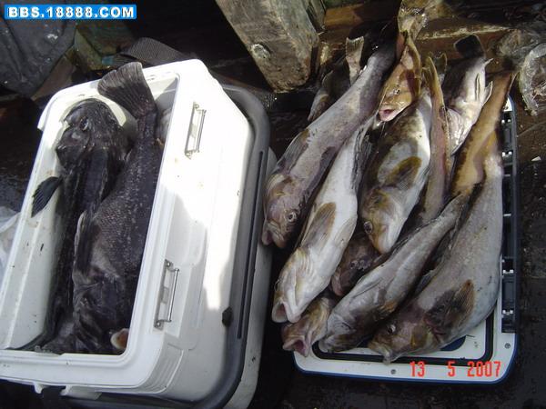 2007513224021383.jpg