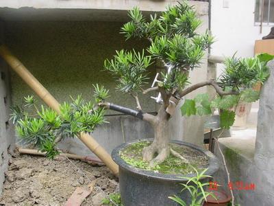 照片 073.jpg