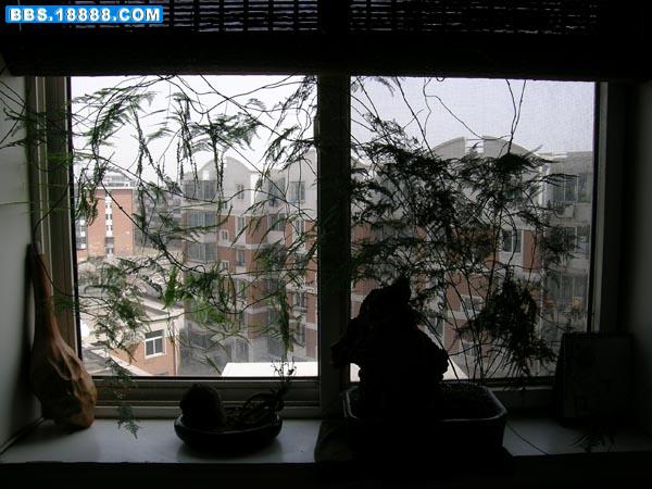 DSCN8029.JPG