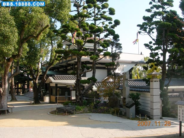 DSCN6992-1.jpg