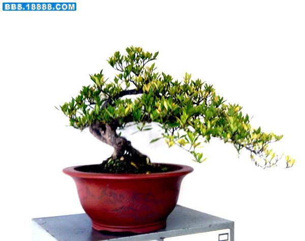 照片-0039.jpg