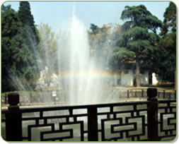20051127154240626.jpg