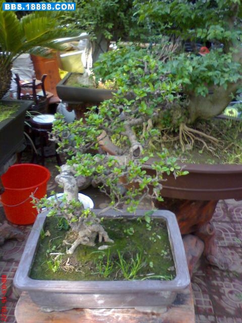 DSC01258.JPG