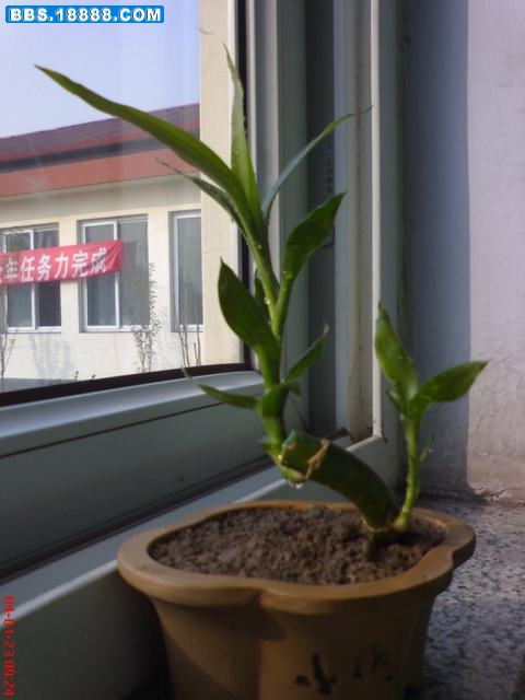 DSC01053.JPG