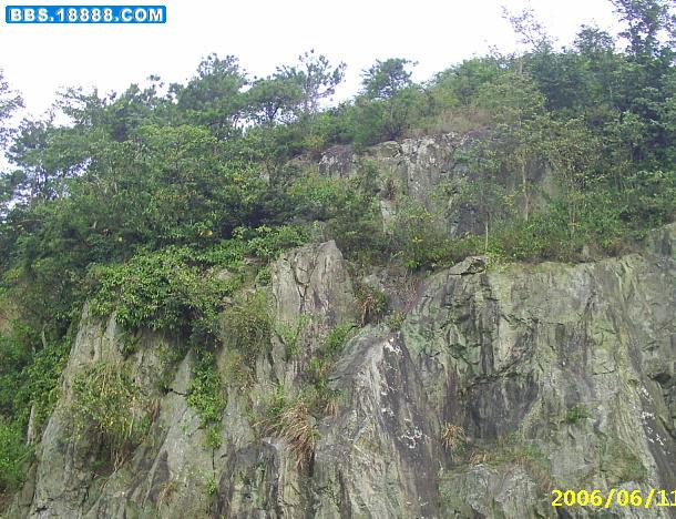 PIC_0005.JPG