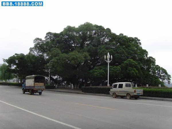 SNV30236.JPG