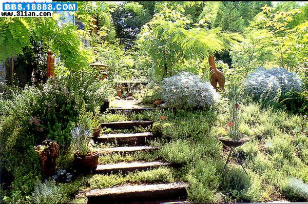 花草树木8.jpg