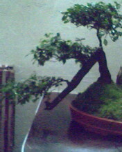 照片 003.jpg