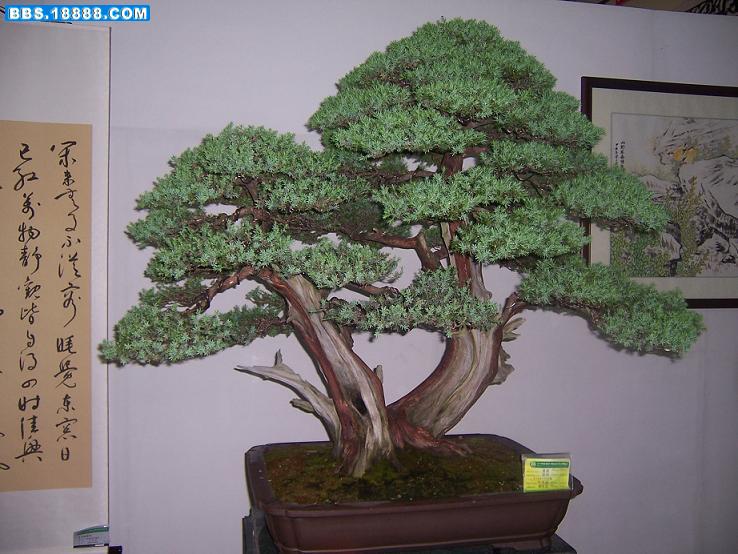 100_7758.JPG