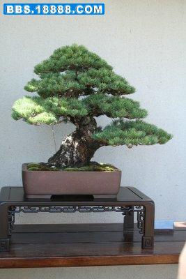 200611419131141810[1].jpg