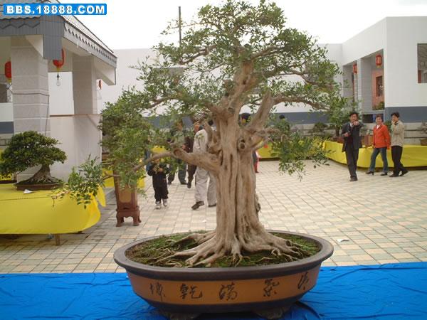 bDSCF0025[1].jpg