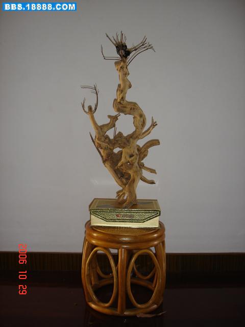 群獸聚合龙风呈祥10.JPG